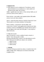 Konspekts 'Sociālo zinību stundas plāns 9.klasei', 2.