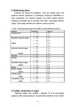 Biznesa plāns 'Biznesa plāns', 8.