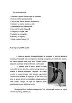 Referāts 'Deju - kustību terapija', 11.