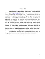 Biznesa plāns 'Biznesa plāns', 6.