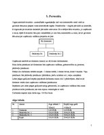 Biznesa plāns 'Biznesa plāns', 7.