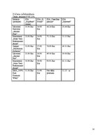 Biznesa plāns 'Biznesa plāns', 10.