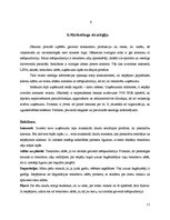 Biznesa plāns 'Biznesa plāns', 11.