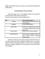 Biznesa plāns 'Biznesa plāns', 12.