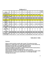 Biznesa plāns 'Biznesa plāns', 15.