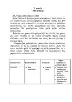 Biznesa plāns 'Auto tūnings', 4.