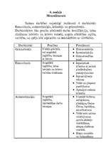 Biznesa plāns 'Auto tūnings', 8.