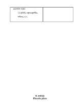 Biznesa plāns 'Auto tūnings', 12.