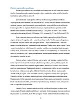 Referāts 'Vispārattīstošo vingrojumu komplekss un tā sastādīšanas noteikumi', 18.