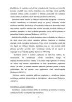 Konspekts 'Salīdzināmā metode', 11.