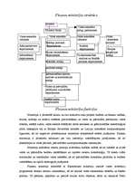 Referāts 'Finanšu ministrijas vēsture', 7.