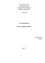 Referāts 'Profesionālais noslēpums', 1.