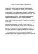 Referāts 'Profesionālais noslēpums', 4.