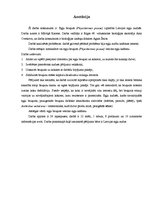 Referāts 'Egļu bruņuts izplatība Latvijas egļu audzēs', 3.