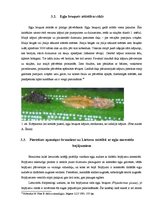 Referāts 'Egļu bruņuts izplatība Latvijas egļu audzēs', 13.