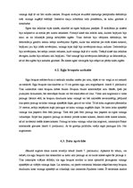 Referāts 'Egļu bruņuts izplatība Latvijas egļu audzēs', 16.