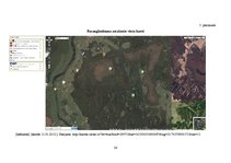 Referāts 'Egļu bruņuts izplatība Latvijas egļu audzēs', 24.