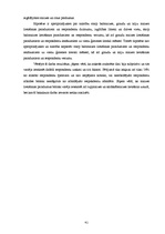 Diplomdarbs 'Maizes patēriņa uzturā raksturojums', 41.