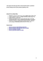 Referāts 'Politiskās korupcijas problēma Latvijā', 10.