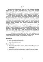 Referāts 'Referāts būvniecībā', 3.