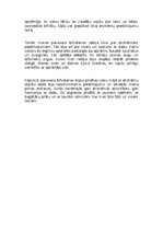 Eseja 'Kā es pavadīju pavasara brīvdienas', 2.