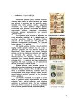Referāts 'Viduslaiku grāmata un grāmatu miniatūras', 4.