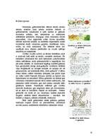 Referāts 'Viduslaiku grāmata un grāmatu miniatūras', 19.