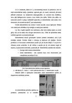 Referāts 'Elektrohromatogrāfija', 4.