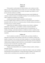 Konspekts 'Ētiskie stili un to piederība', 1.