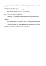 Konspekts 'Ētiskie stili un to piederība', 3.