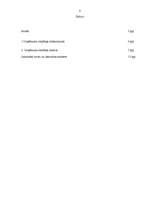 Biznesa plāns 'Mārketinga plāns', 1.