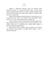 Biznesa plāns 'Mārketinga plāns', 2.