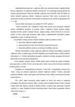 Biznesa plāns 'Mārketinga plāns', 7.