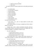 Biznesa plāns 'Mārketinga plāns', 8.