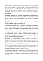 Eseja 'Korupcija – tiesiska, ētiska un sociāla problēma', 1.