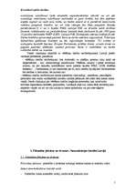 Konspekts 'Valsts eksāmena jautājumi konstitucionālajās tiesībās', 5.