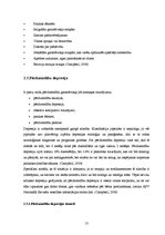 Diplomdarbs 'Grūtnieču un nedēļnieču ar mentālās dabas traucējumiem aprūpe', 13.