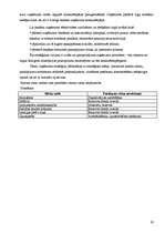 Biznesa plāns 'SIA "Logunna"', 26.