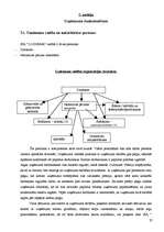 Biznesa plāns 'SIA "Logunna"', 35.