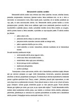 Referāts 'Bērncentrēta mācību modeļa analīze', 4.