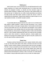 Referāts 'Bērncentrēta mācību modeļa analīze', 5.