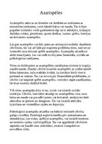 Eseja 'Azartspēles', 1.