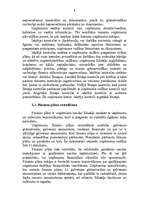 Referāts 'Uzņēmuma struktūra un finanšu plāns', 6.