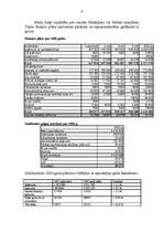 Referāts 'Uzņēmuma struktūra un finanšu plāns', 7.