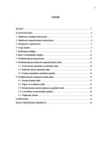 Referāts 'Uzņēmuma SIA "X" struktūras reorganizācijas plāns', 2.