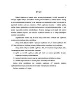 Referāts 'Uzņēmuma SIA "X" struktūras reorganizācijas plāns', 3.