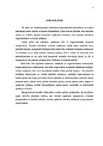 Referāts 'Uzņēmuma SIA "X" struktūras reorganizācijas plāns', 4.