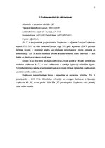 Referāts 'Uzņēmuma SIA "X" struktūras reorganizācijas plāns', 5.