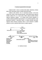Referāts 'Uzņēmuma SIA "X" struktūras reorganizācijas plāns', 6.