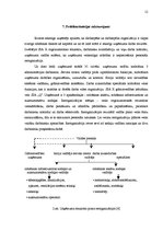 Referāts 'Uzņēmuma SIA "X" struktūras reorganizācijas plāns', 12.